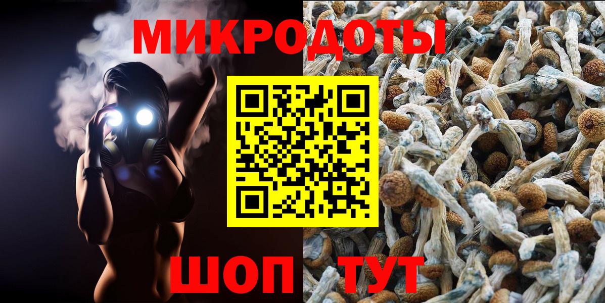 Псилоцибиновые грибы Cubensis  Псилоцибиновые грибы Psilocybine cubensis  Вход с VPN  Медногорск 